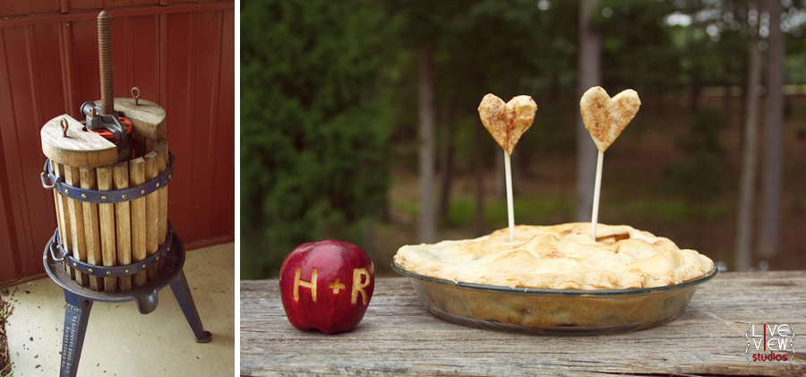 retro-americana-engagement-34