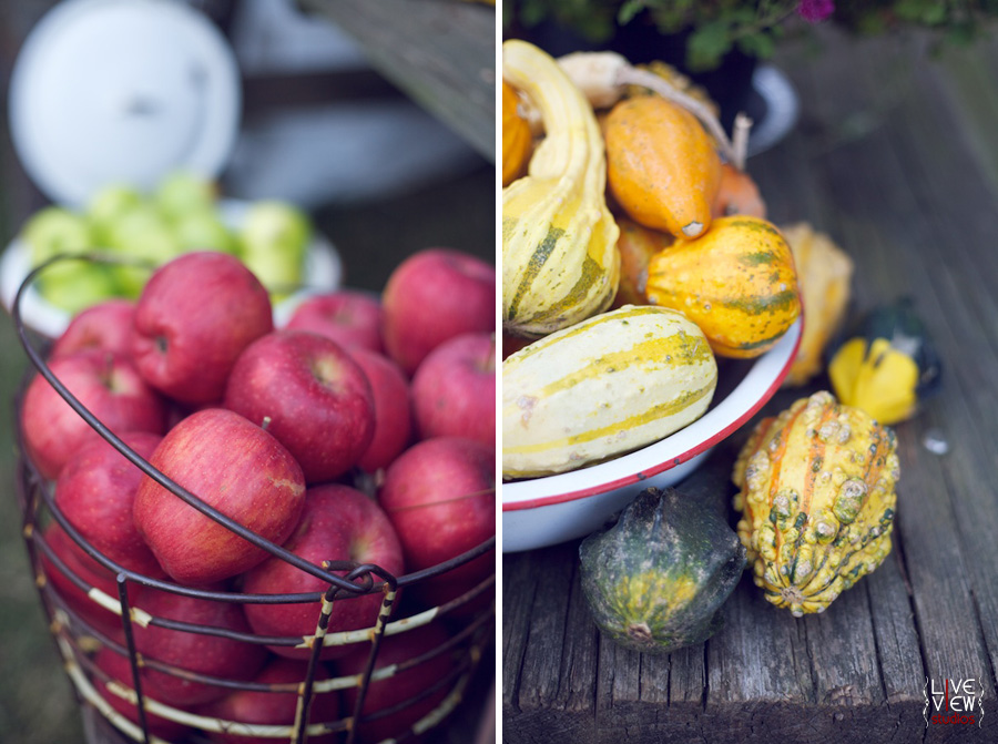 fruit and vegetables at the north carolina state fair