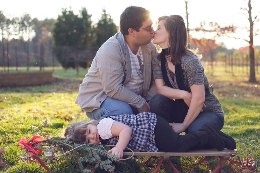 christmas family photos, apex nc