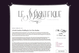 Le Magnifique- A North Carolina Wedding by Live View Studios