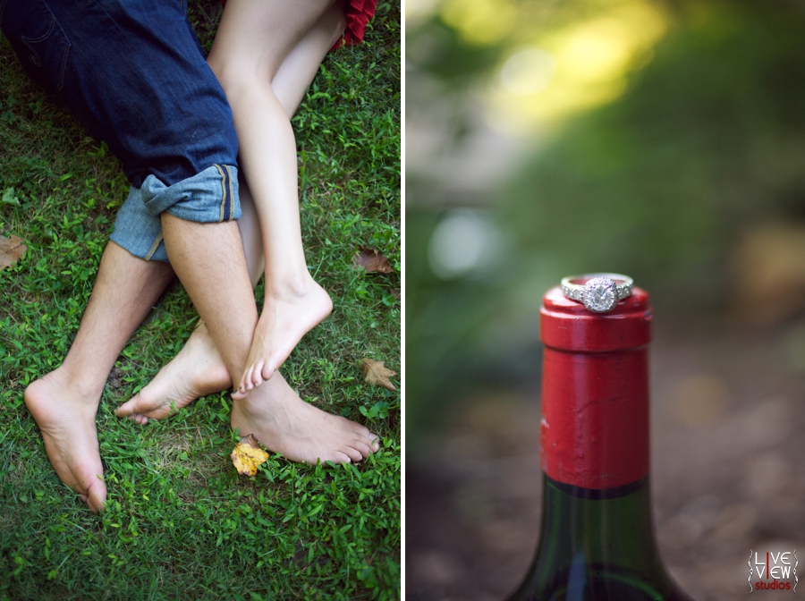romantic engagement photos north carolina
