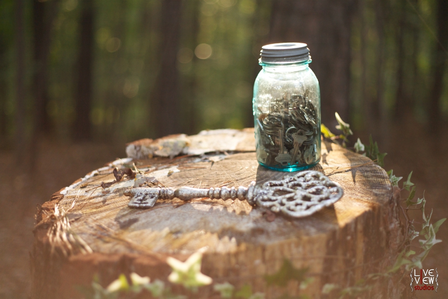 keys lay on stump in magical forest