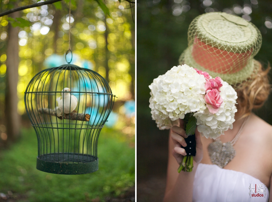 white dove in rustic birdcage, southern wedding photographers