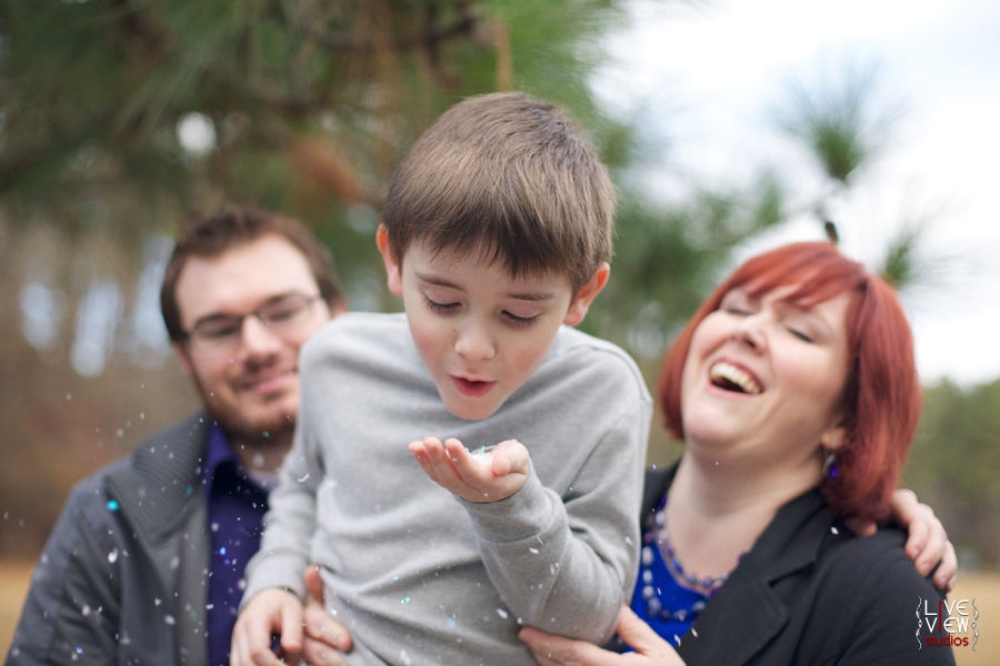 family mini sessions