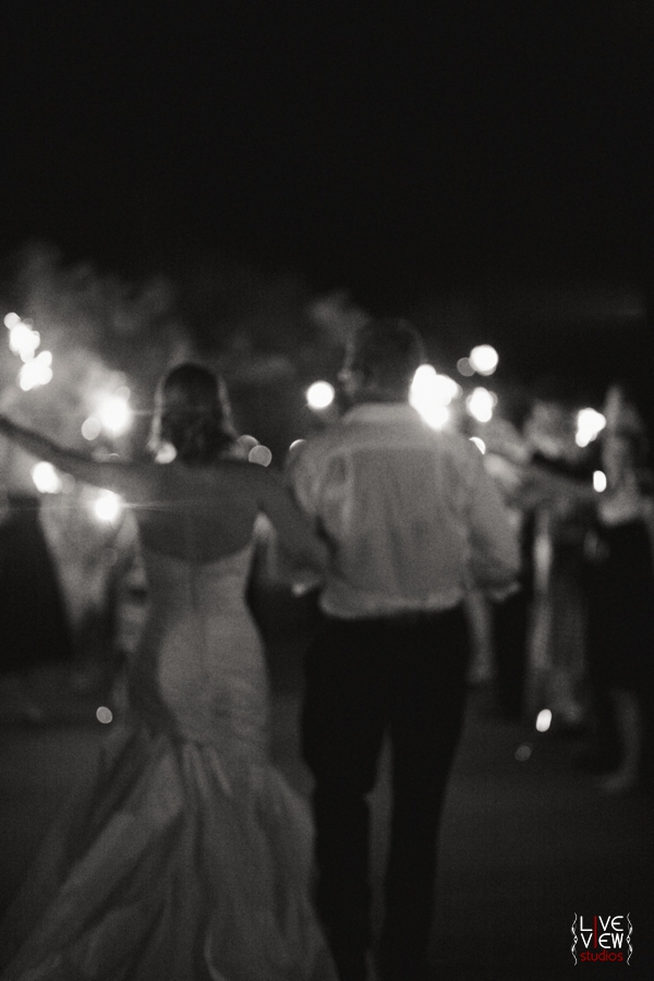 best-wedding-photography-raleigh_0046