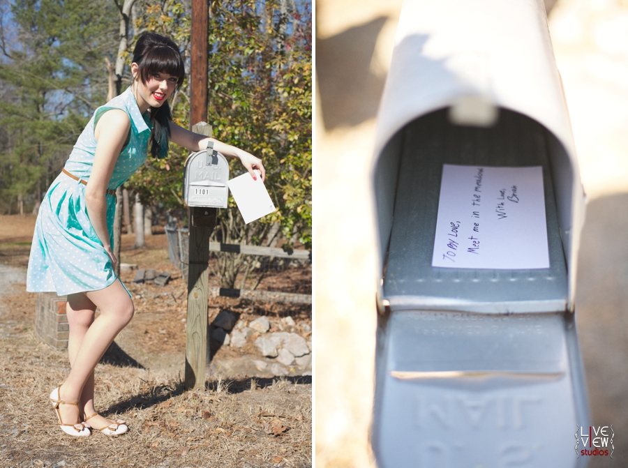 valentine-lumineers-inspired-engagement_0004