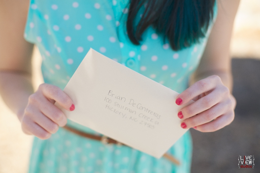 valentine-lumineers-inspired-engagement_0005