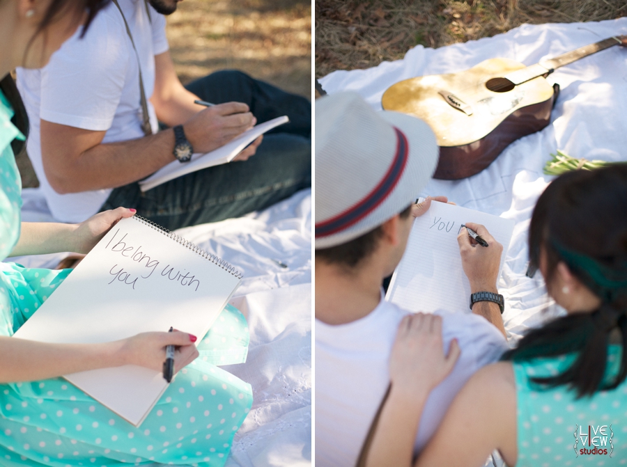 valentine-lumineers-inspired-engagement_0025