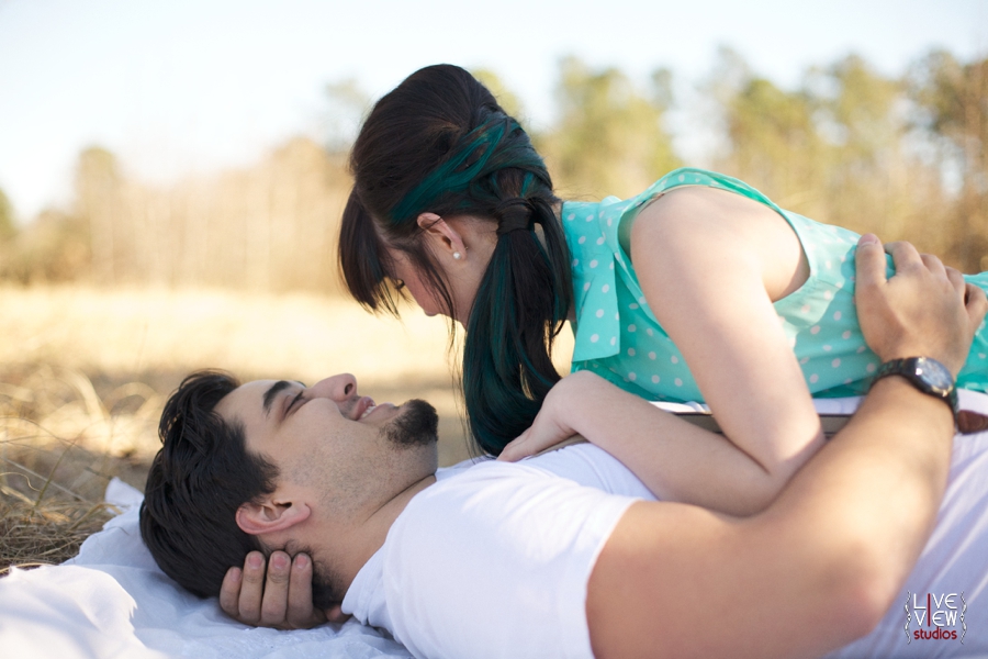 intimate engagement photography, a romantic picnic on a warm sunny day
