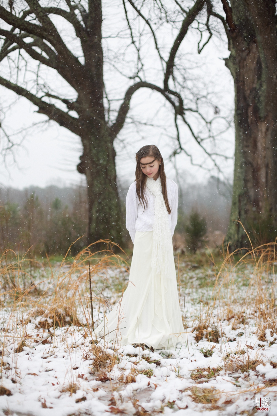 beautiful snow princess theme, raleigh nc children's outdoor portrait photographers