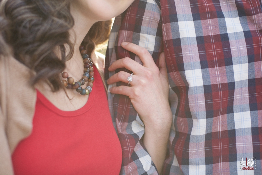 southern engagement photographers, raleigh nc