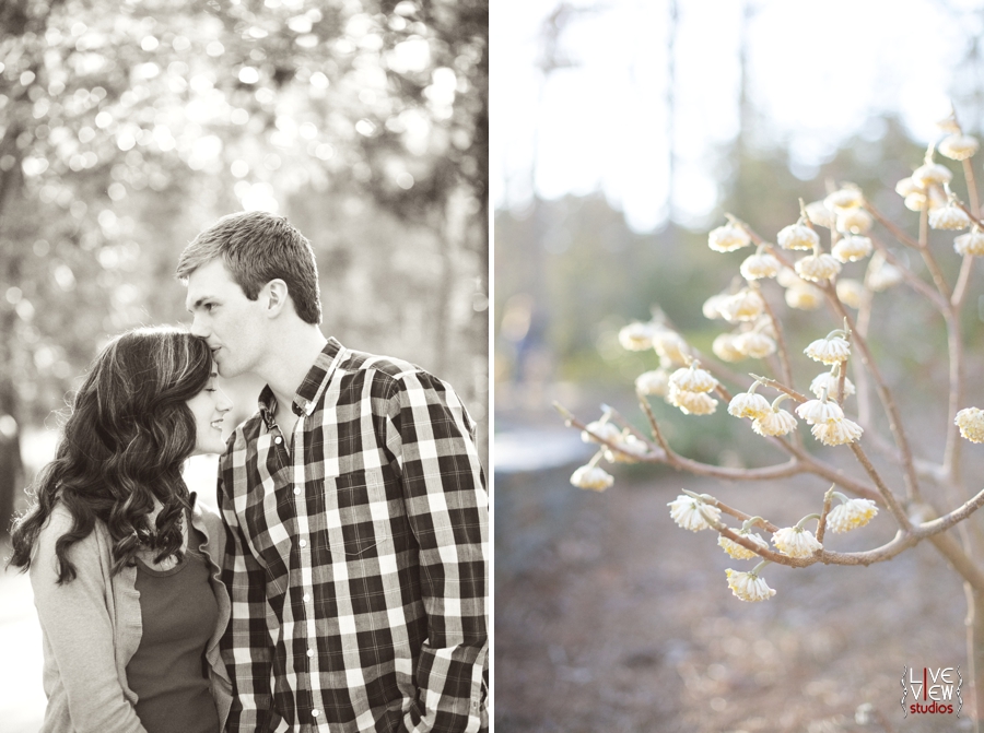 vintage engagement photographers, beautiful flowers at duke gardens in nc