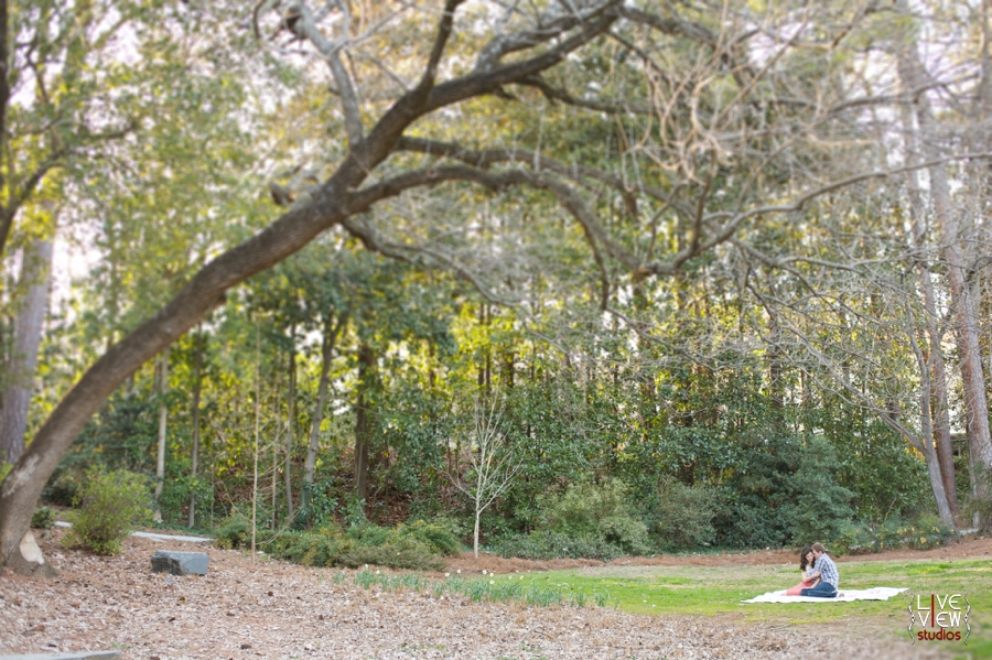 duke gardens engagement photography, raleigh nc engagement photographers