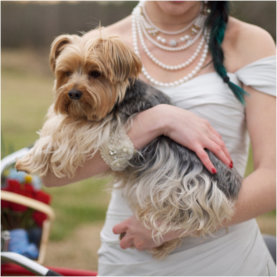 dog in wedding, raleigh nc wedding photographers