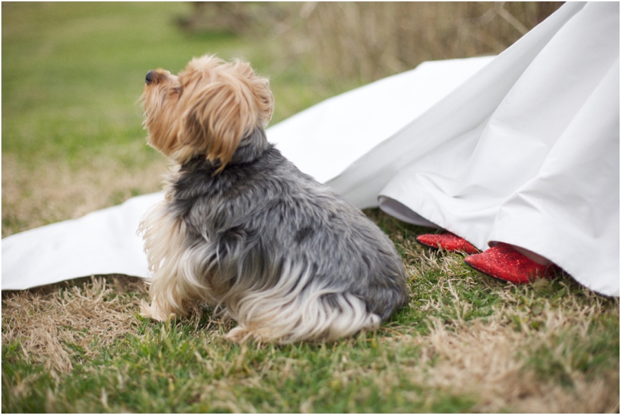 pets in wedding, wizard of oz wedding theme 