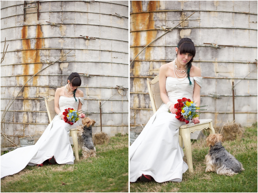 bride and her pet dog, country bridal portraits