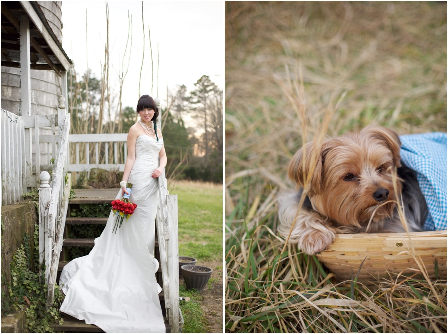 rustic farm wedding photography, cute pet photography, raleigh nc