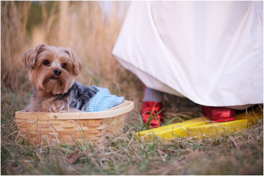 oz the great and powerful inspired wedding photography, dorothy and toto