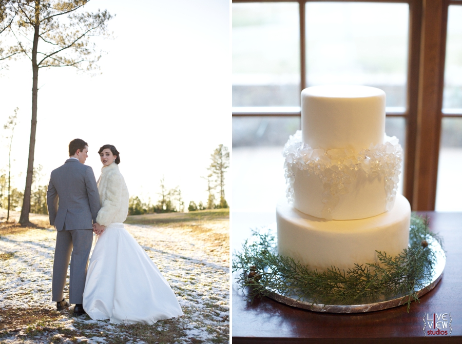 beautiful winter wedding portraits, winter themed wedding cake by linacucina, raleigh nc wedding photographers