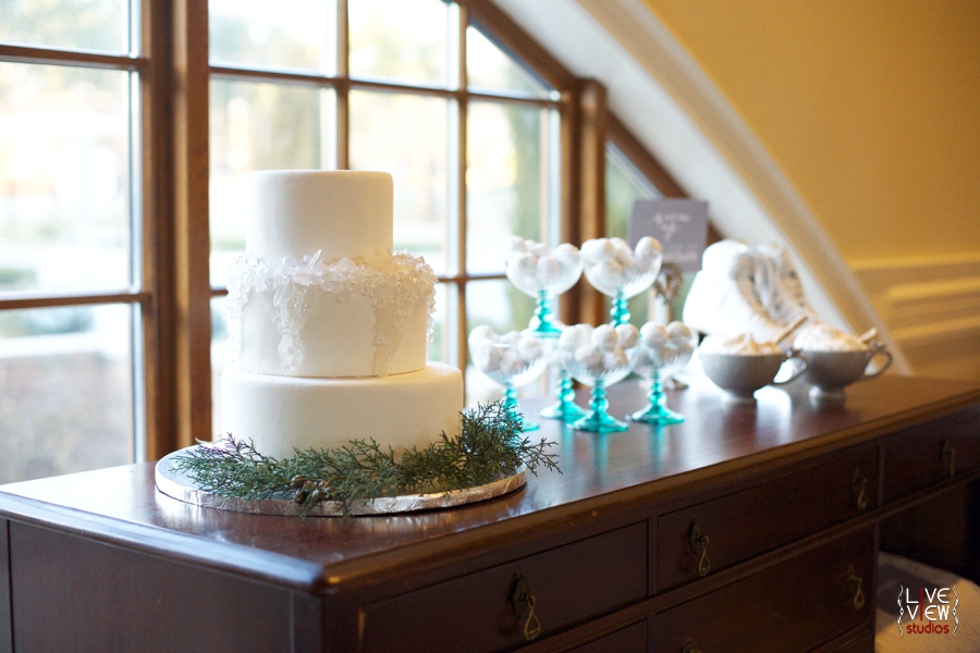 winter inspired wedding reception, raleigh nc wedding photographers