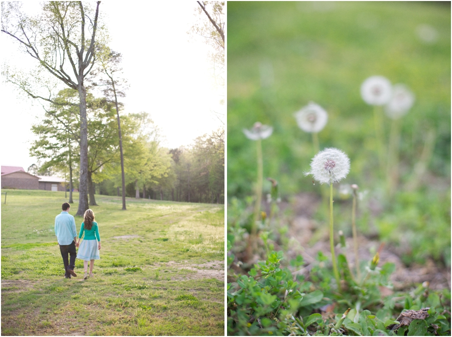 springtime engagement photography, dandelions
