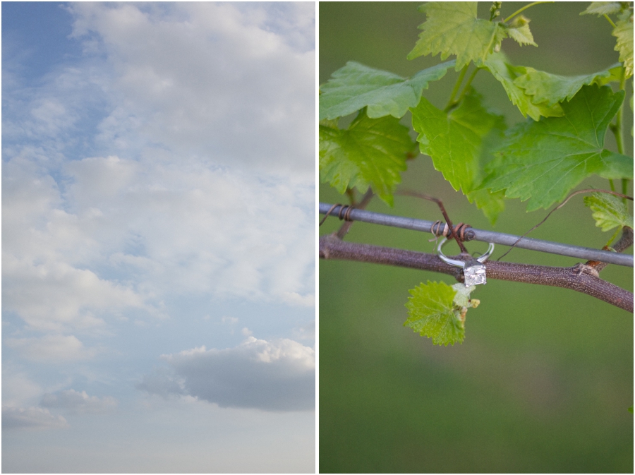 carolina blue skies, cute ring shot ideas, nc vineyard engagement photography
