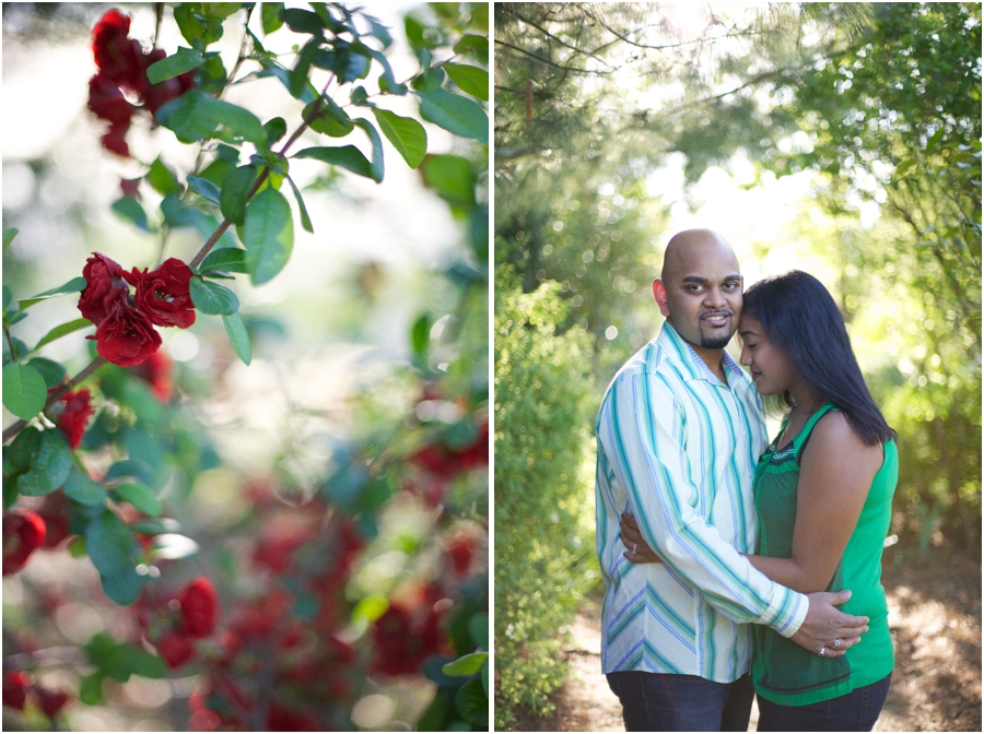beautiful red roses, southern engagement photographers
