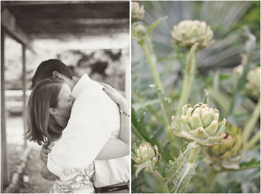 intimate vintage engagement photography, artichoke plants