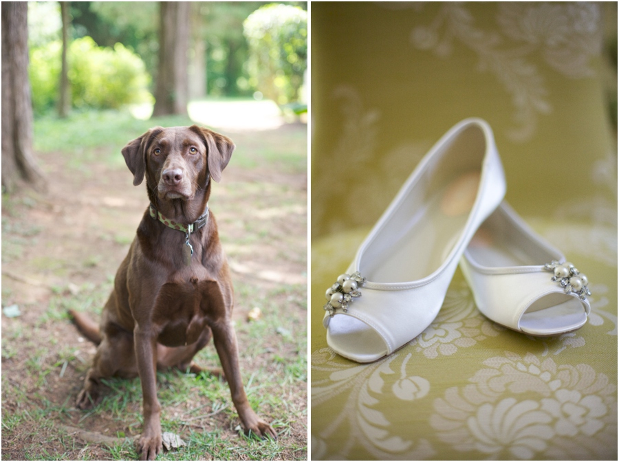 raleigh nc pet photography, bride's white ballet slippers, southern wedding photographers