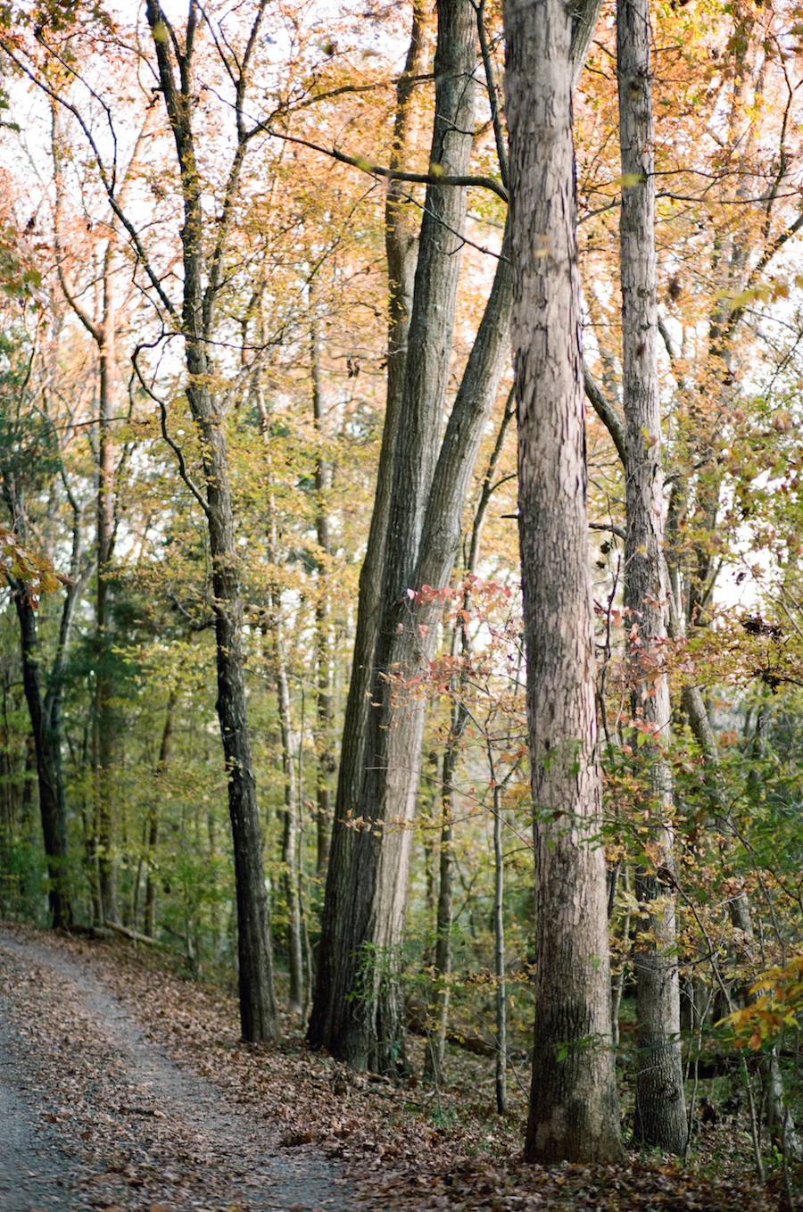 film fine art photographer north carolina