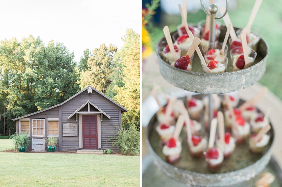 orange county nc wedding photographer, fig and honey tart treats