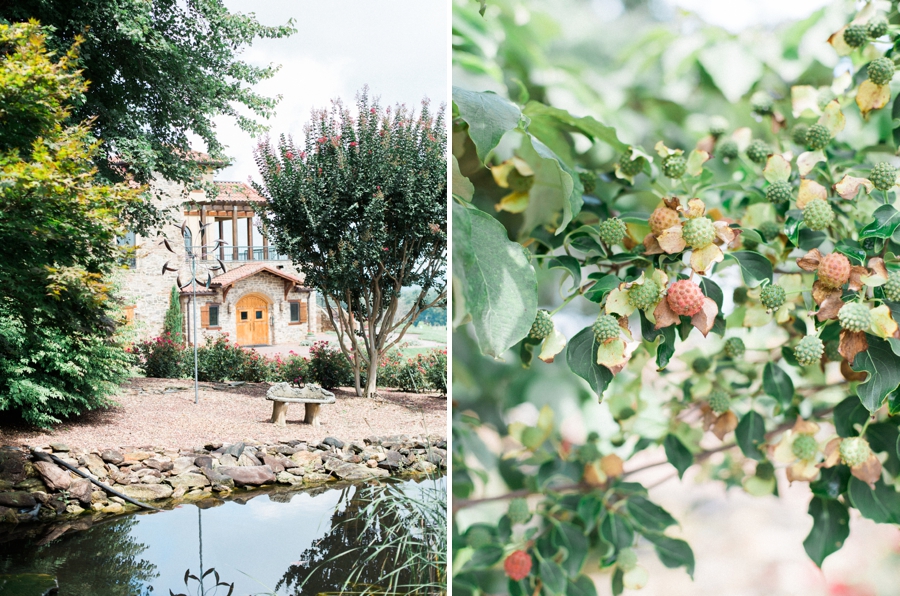 raffaldini vineyards wedding photographer