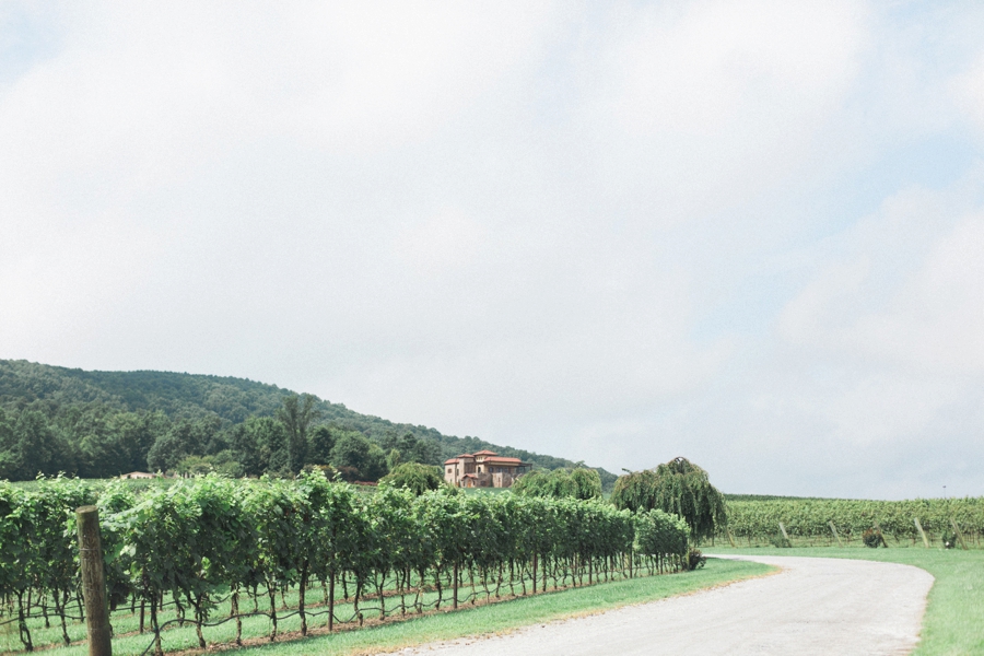 italian villa vineyard wedding photography