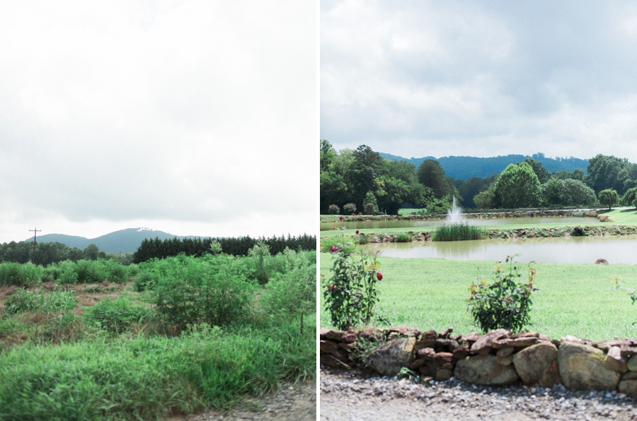 raffaldini vineyards wedding photographer