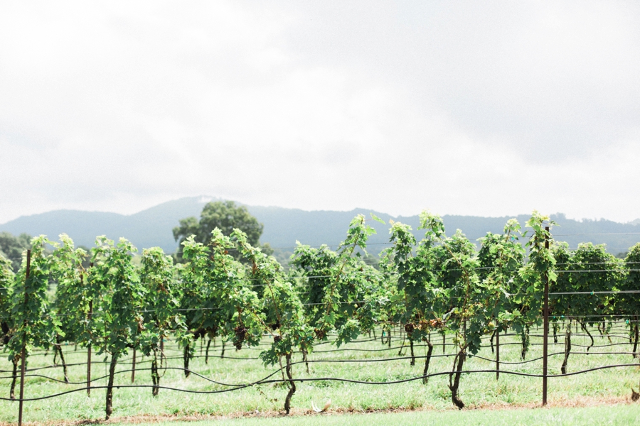 raffaldini vineyards fine art photographer