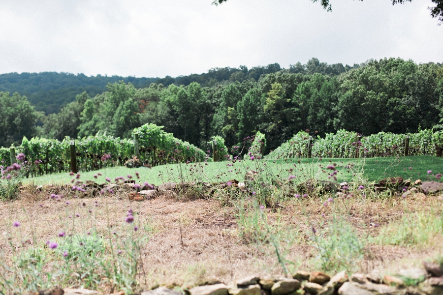 raffaldini vineyard wedding photography