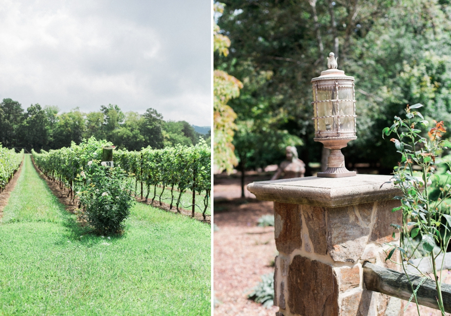 raffaldini vineyards wedding photographer ronda nc