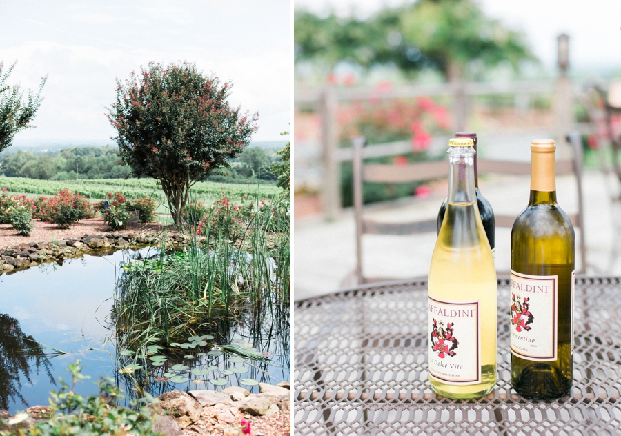 raffaldini vineyards wedding photography, nc mountain fine art wedding photography