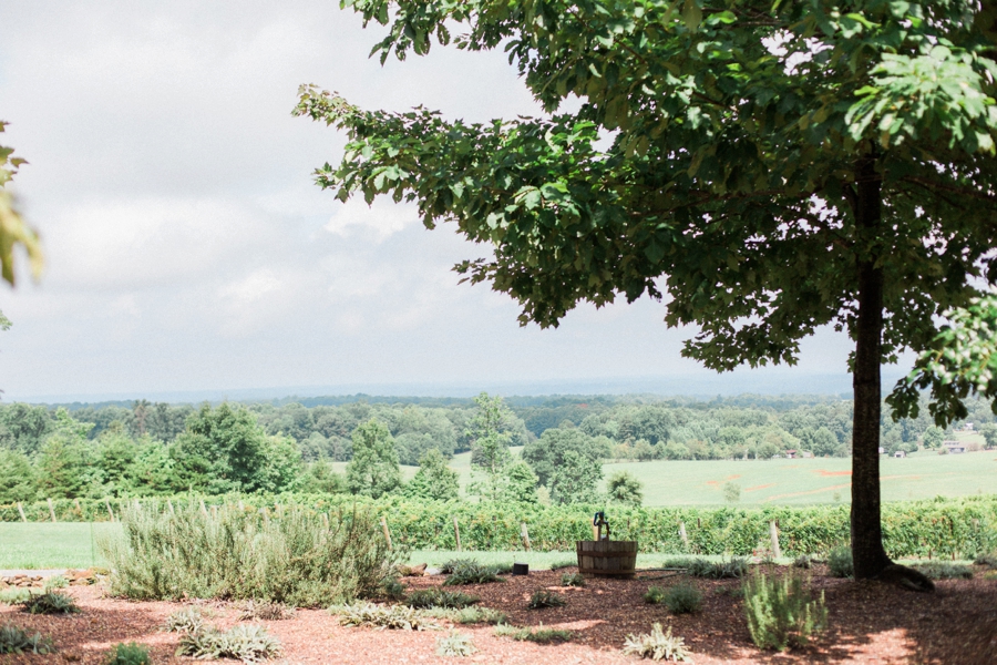 nc mountain view, raffaldini vineyards yadkin valley