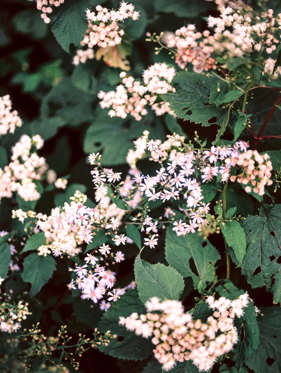 asheville fine art film wedding photographer_0012