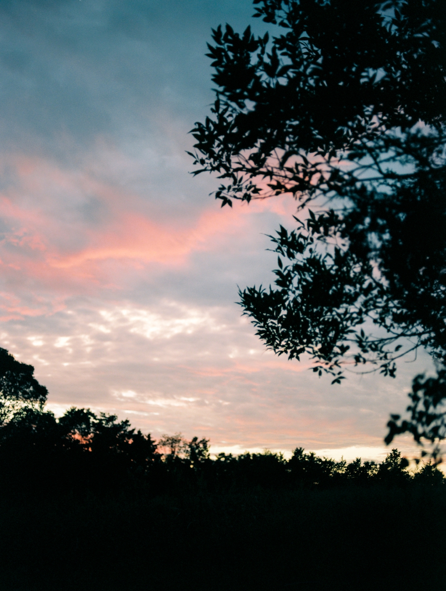 asheville fine art film wedding photographer_0015