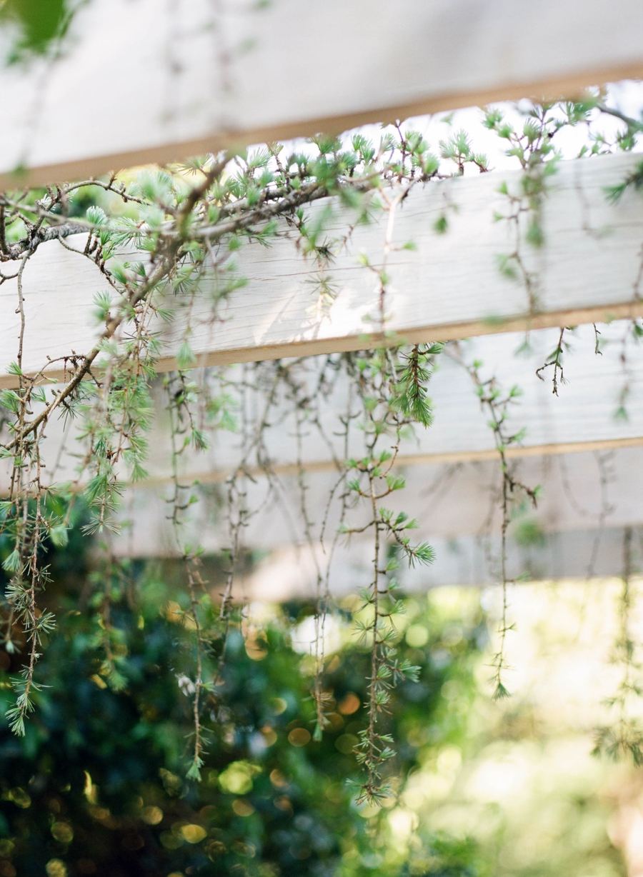 raleigh fine art film wedding photographer_0196