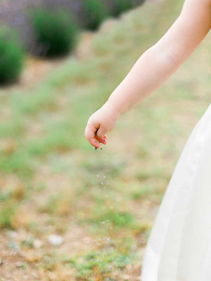 Lavender Film Wedding Photography 