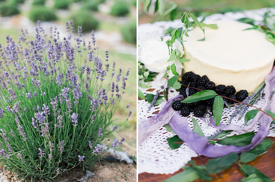 Lavender Film Wedding Photography_0032