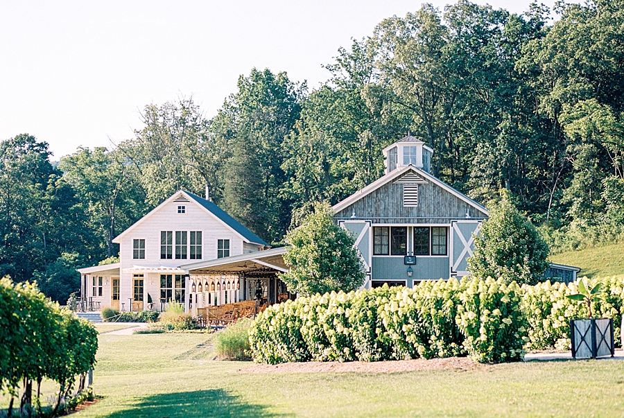 Pippin Hill Film Wedding Photographer_0001