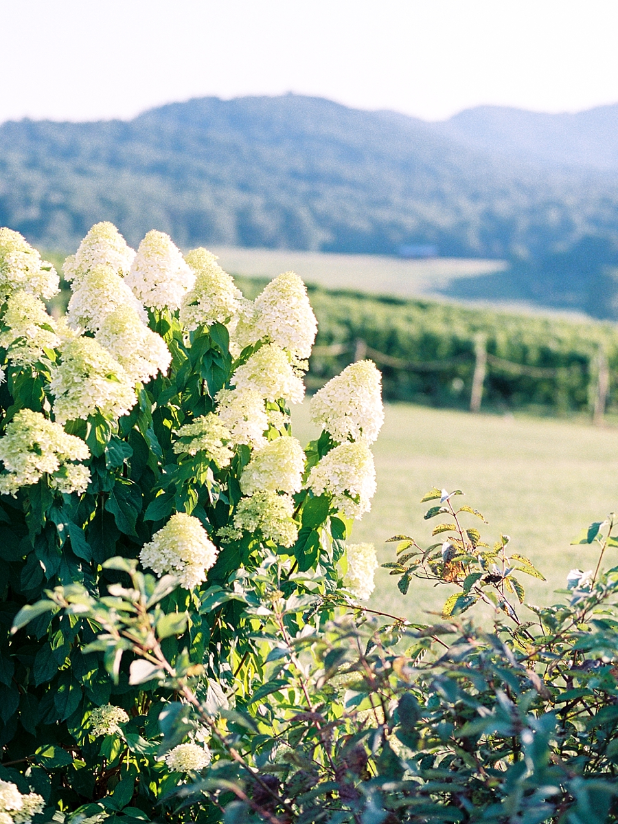 Pippin Hill Film Wedding Photographer_0002