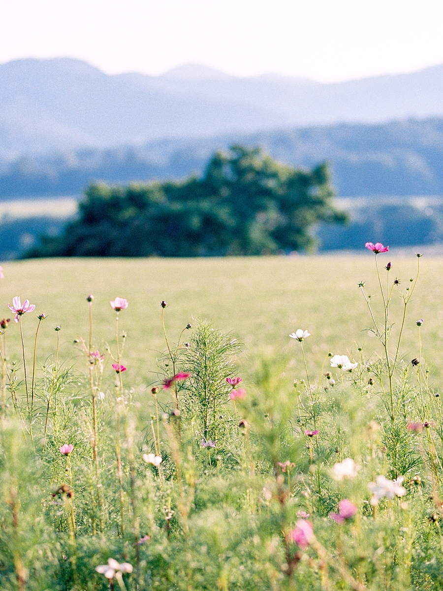 Pippin Hill Film Wedding Photographer_0026