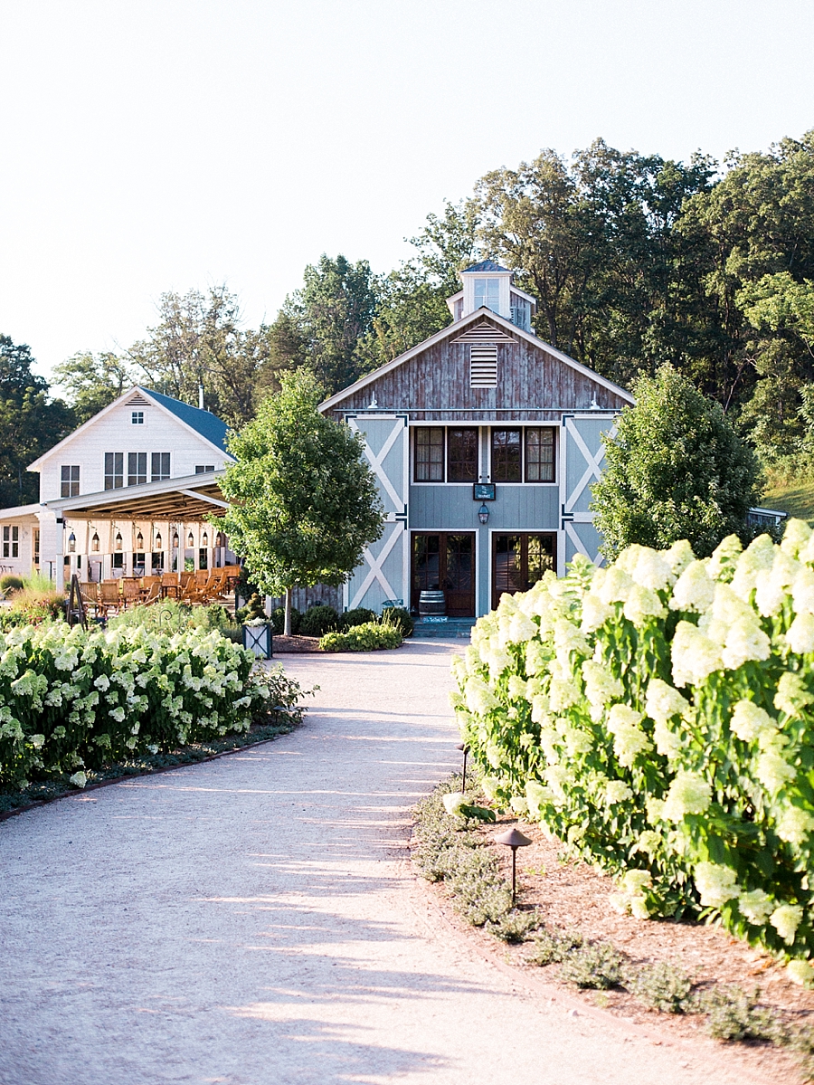 Pippin Hill Film Wedding Photographer_0033