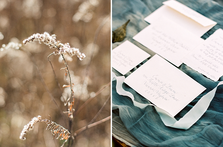 Asheville Mountain Wedding Photography