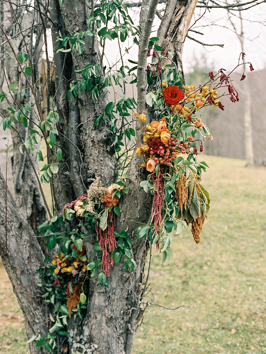 Asheville Mountain Wedding Photography